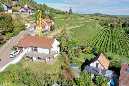 von West 1 - Haus kaufen in Bad Dürkheim - Tolle Blicklage am Südhang von Bad Dürkheim, ebener Zugang, sanierungsbedürftig