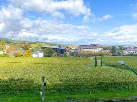  - Wohnung kaufen in Bad Dürkheim - Große Wohnung mit großartigem Blick zu den Salinen in Bad Dürkheim!