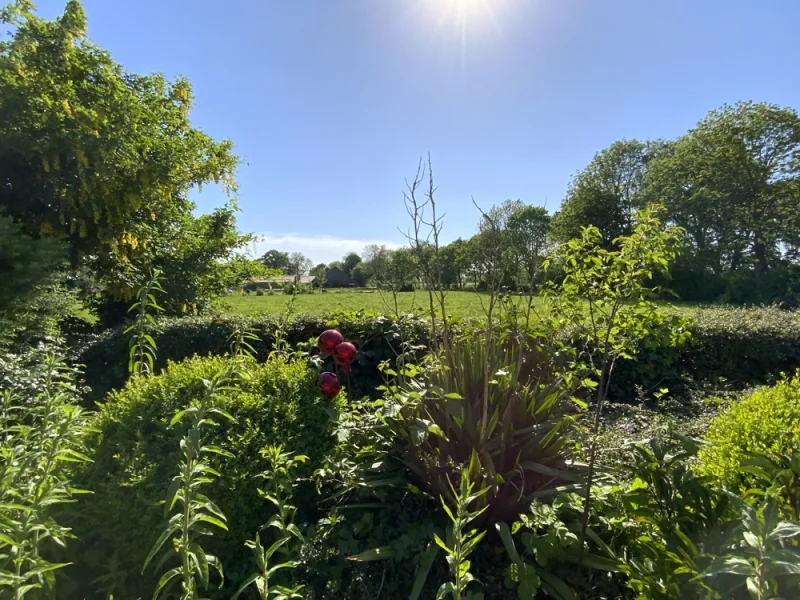 Blick ins Land vom Garten