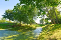 grüner Garten mit Teich