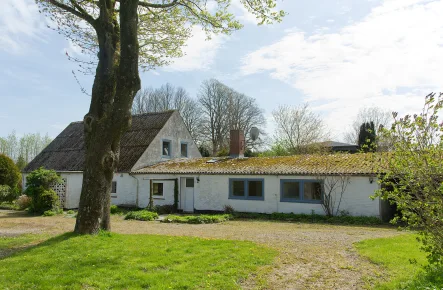 Einliegerwohnung - Haus kaufen in Havetoft - Havetoft - Resthof mit 3 Wohneinheiten und eigener Hauskoppel