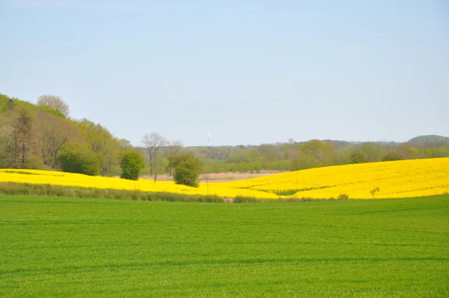 weitläufiger Blick