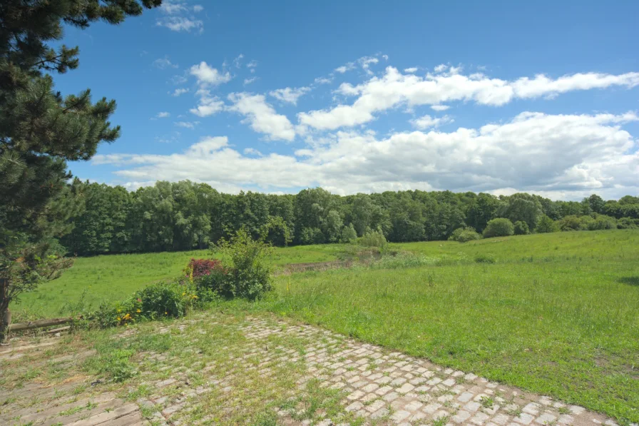 Blick von der Terrasse ins Grüne!