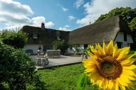 Idylle Pur! - Haus kaufen in Holm - Charmantes Reetdach mit Platz für Gäste oder Mehrgenerationen!