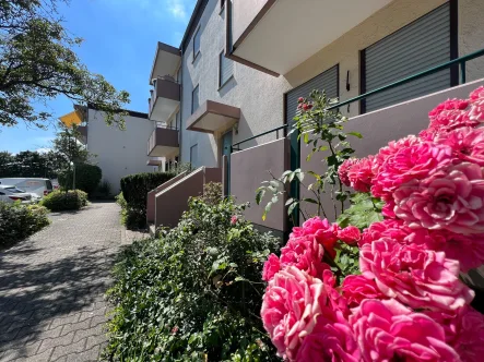 Eingangsbereich - Wohnung kaufen in Mannheim - Vermietete Wohnung mit toller Raumaufteilung, sonnigem Balkon und Stellplatz.