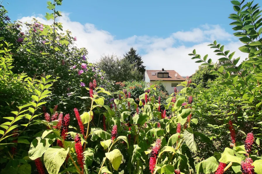 Blick von der Terrasse