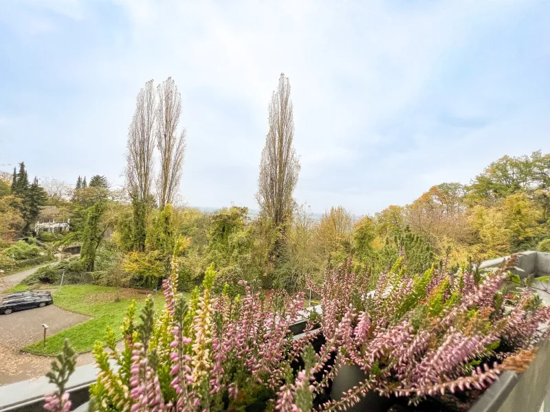 Blick vom Balkon