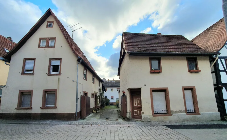 Außenansichten - Grundstück kaufen in Hemsbach - Schnell zugreifen! Hochinteressantes Abrissgrundstück im Ortskern von Hemsbach