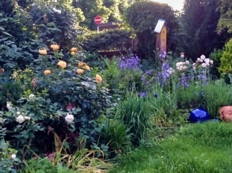 Impressionen vom vergangenen Sommer