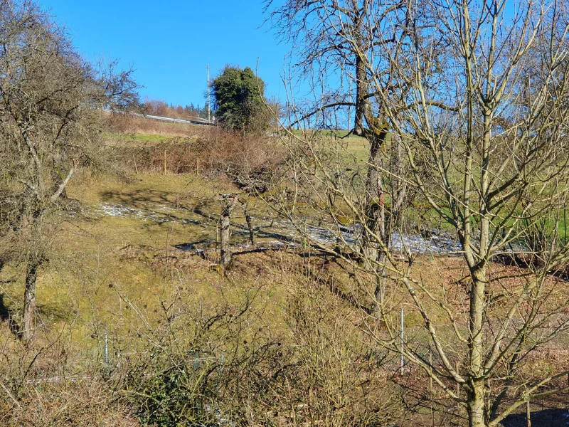 Aussicht auf die Weidefläche