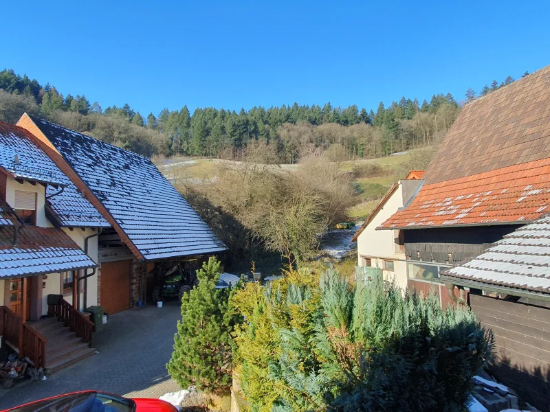 Ausblick aus dem Fenster