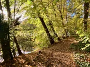 Spaziergang am Hubertussee