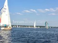 Regatta Wannsee