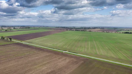 Luftaufnahme - Grundstück kaufen in Oderaue / Neurüdnitz - Märkisch-Oderland, Oderaue: ca. 12,7 Hektar Ackerland