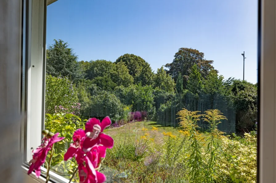 Blick in den hinteren Garten