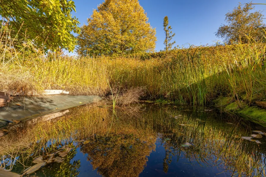 Kleiner Teich