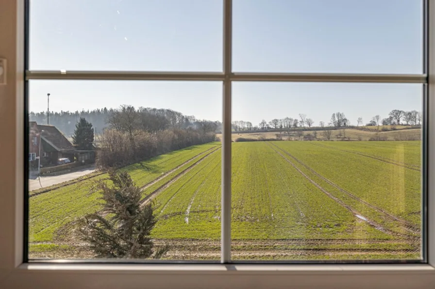 Blick über die Felder