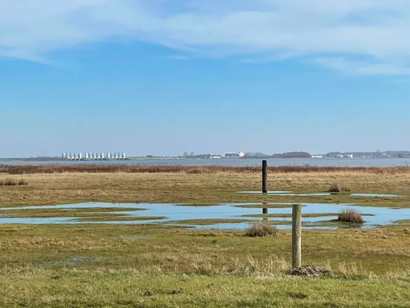 Lauwersmeer