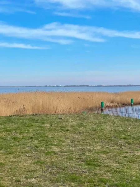 Blick auf das Lauwersmeer