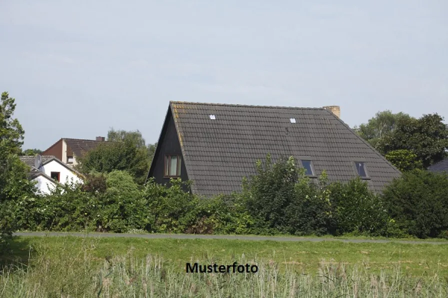 Keine Originalbilder - Haus kaufen in Buseck - Einfamilienhaus mit Garagenanbau