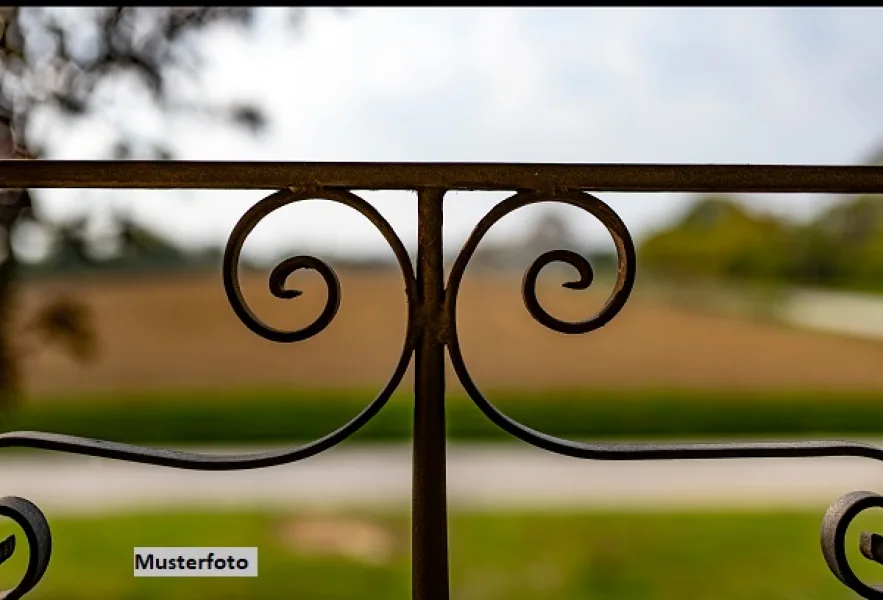 Keine Originalbilder - Haus kaufen in Borgentreich - Einfamilienhaus, Dachterrasse, Doppelgarage mit Grube