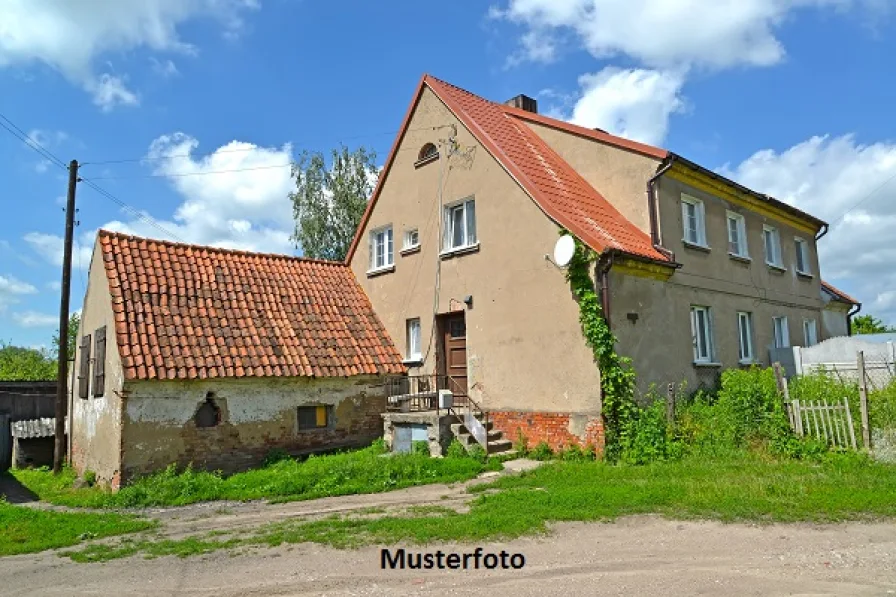 Keine Originalbilder - Haus kaufen in Frohburg - Einfamilienhaus mit Garage
