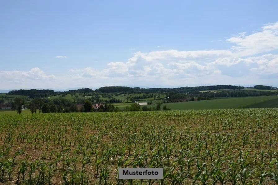 Keine Originalbilder - Grundstück kaufen in Weinbach - Landwirtschaftsflächen