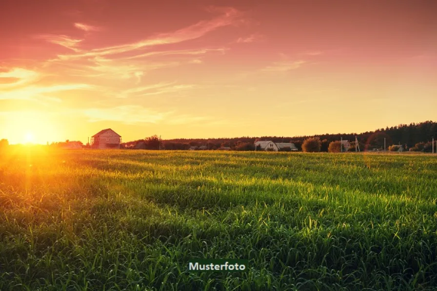 Keine Originalbilder - Grundstück kaufen in Ebensfeld - Land- und Forstwirtschaftsfläche