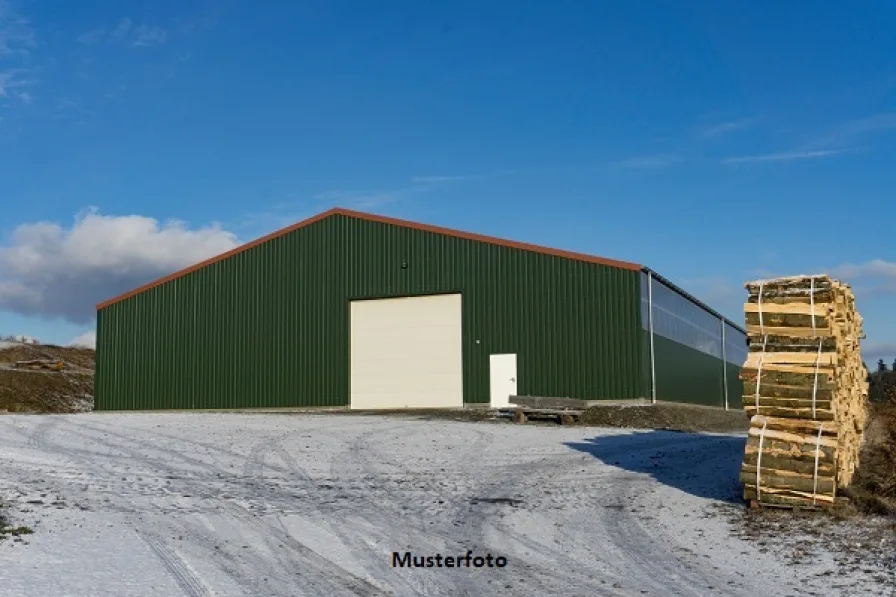 Keine Originalbilder - Halle/Lager/Produktion kaufen in Salzkotten - Gewerbehalle mit Remise