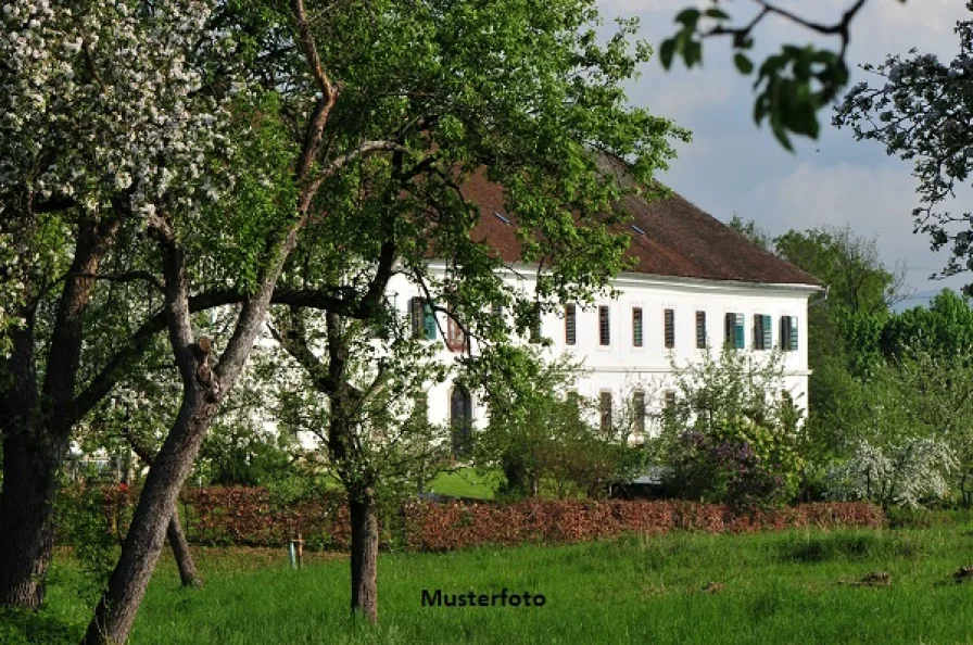 Keine Originalbilder - Haus kaufen in Kyffhäuserland - Einfamilienhaus mit großem Grundstück 