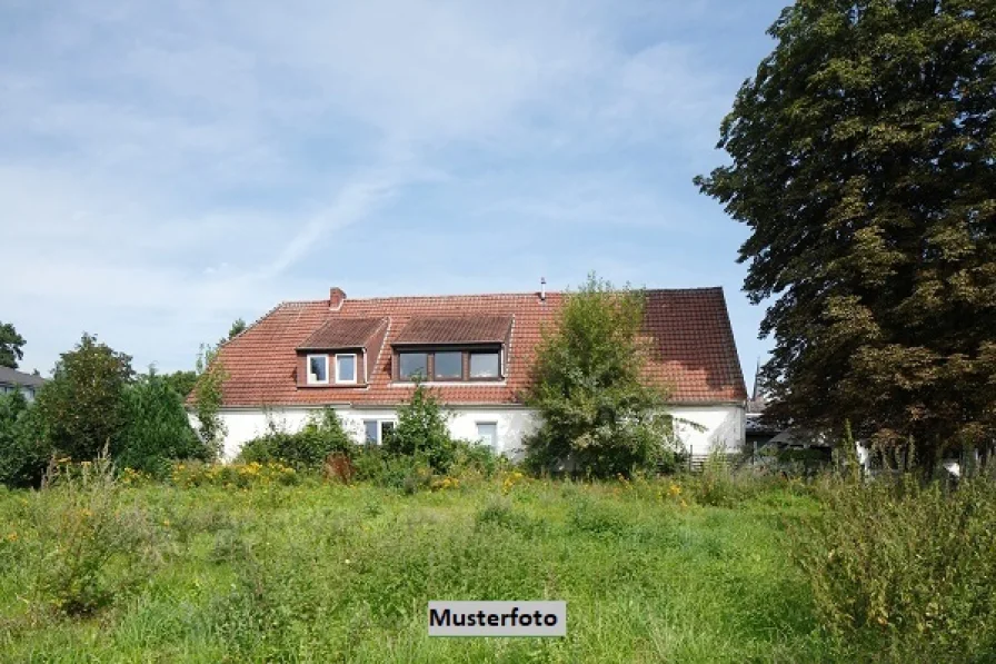 Keine Originalbilder - Haus kaufen in Hochdonn - Ehem. landwirtschaftliches Wohn- und Wirtschaftsgebäude - provisionsfrei