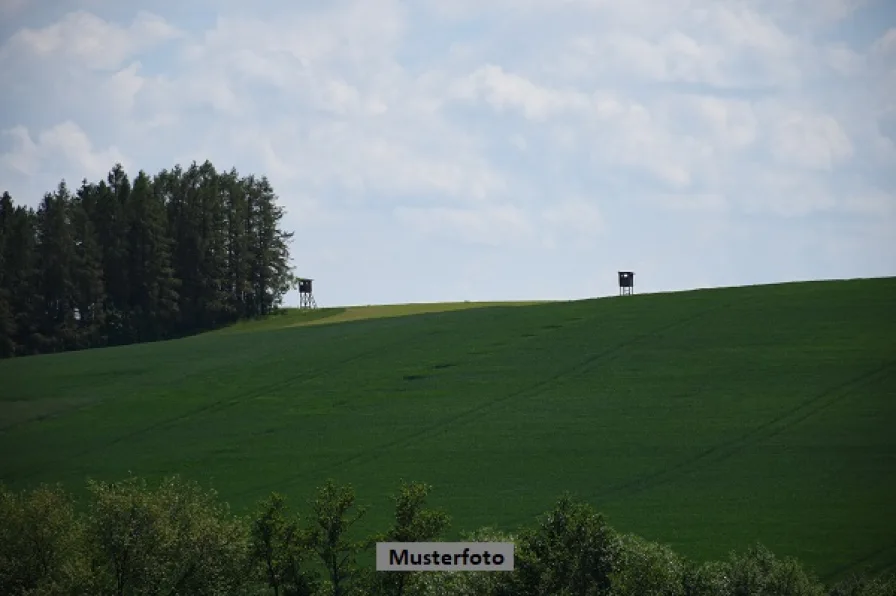 Keine Originalbilder - Grundstück kaufen in Hettenrodt - Land- und Forstwirtschaftsfläche - provisionsfrei