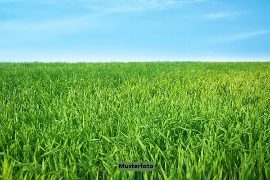 Keine Originalbilder - Grundstück kaufen in Johannesberg - Landwirtschaftsfläche