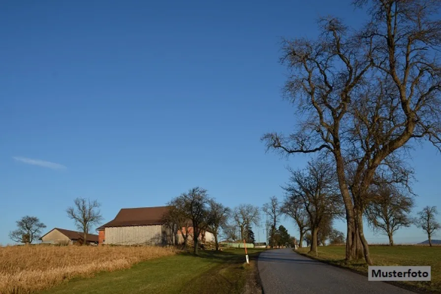 Keine Originalbilder - Haus kaufen in Daubach - Landwirtschaftliche Hofstelle mit Wohnhaus und Stall