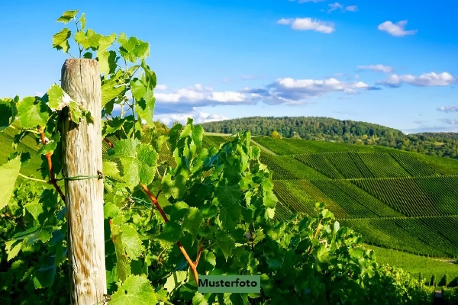 Keine Originalbilder - Grundstück kaufen in Gau-Weinheim - Weingärten