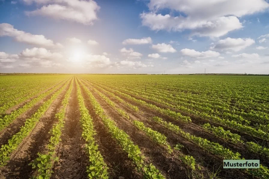 Keine Originalbilder - Grundstück kaufen in Neu Wulmstorf - Landwirtschaftsfläche - provisionsfrei