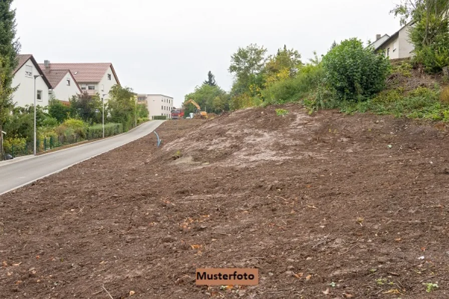 Keine Originalbilder - Grundstück kaufen in Wilkau-Haßlau - Unbebautes Grundstück ++ provisionsfrei ++