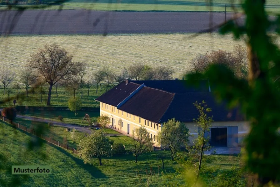 Keine Originalbilder - Haus kaufen in Tanna - Ehemaliger Vierseitenhof + provisionsfrei +