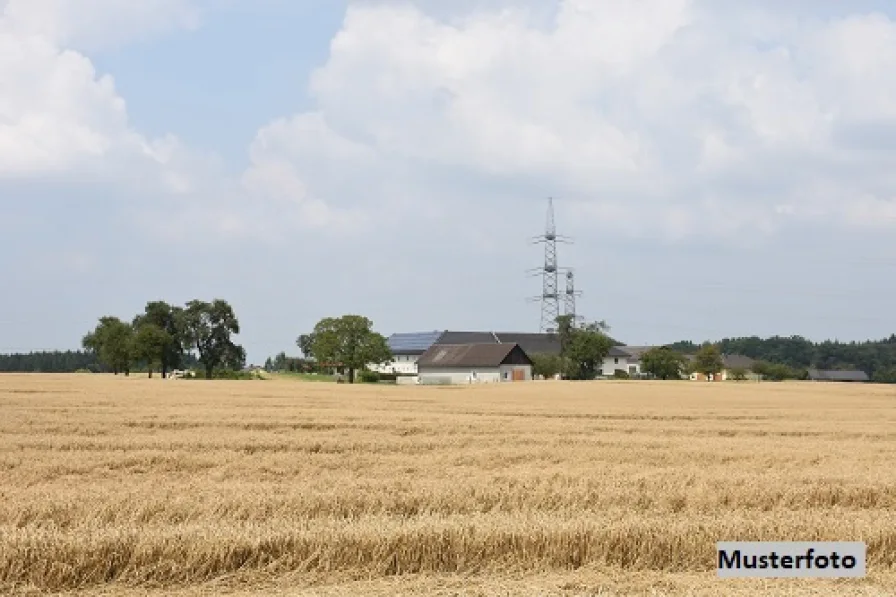 Keine Originalbilder - Haus kaufen in Löbau - Einfamilienhaus mit div. Nebengebäuden 