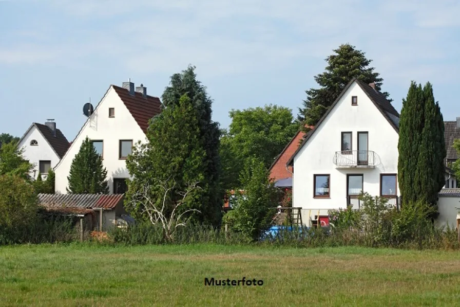 Keine Originalbilder - Haus kaufen in Konz - Einfamilienhaus, Balkon, Garage + provisionsfrei +