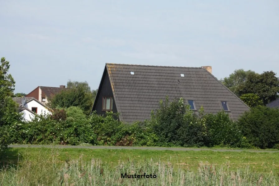 Keine Originalbilder - Haus kaufen in Lohne - Einfamilienhaus mit Anbau und Garage - provisionsfrei