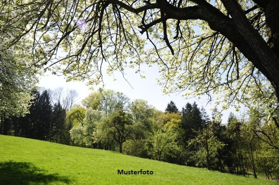 Keine Originalbilder - Grundstück kaufen in Brackenheim - Landwirtschafts-, Wald- und Wasserflächen