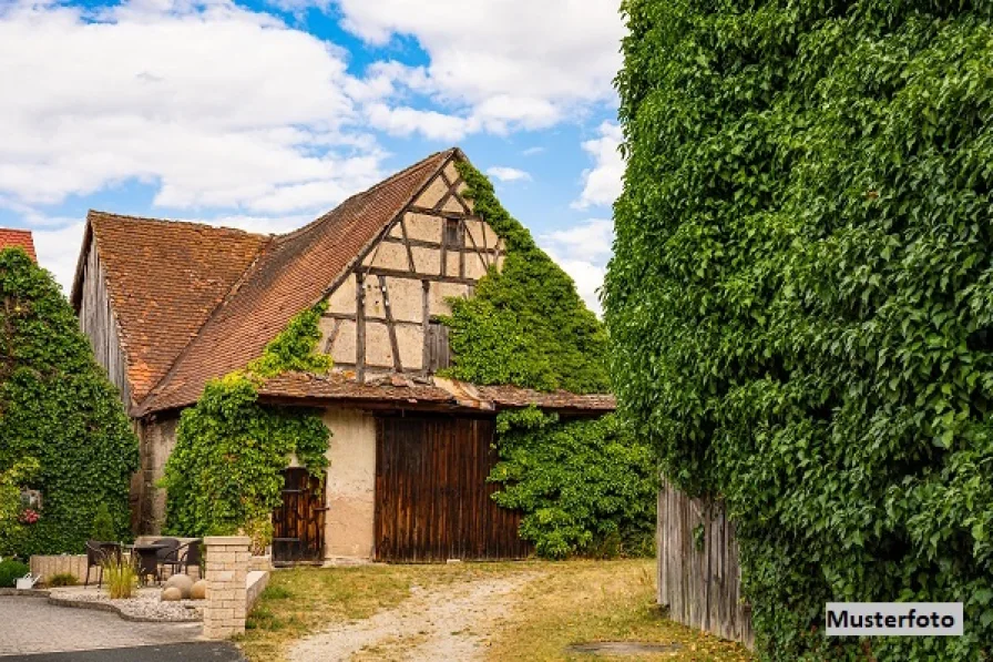 Keine Originalbilder - Haus kaufen in Schwallungen - Wohnhaus mit Nebengebäude