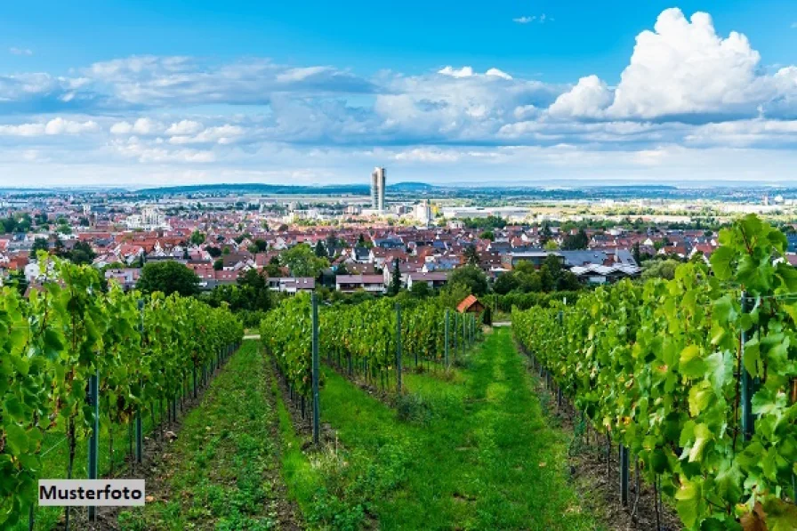 Keine Originalbilder - Haus kaufen in Traben-Trarbach - Einfamilienhaus