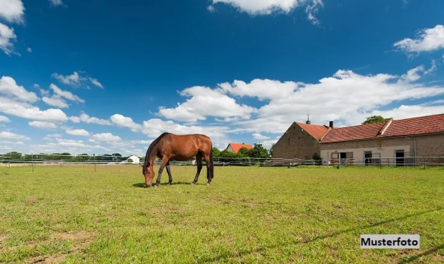 Keine Originalbilder - Land- und Forstwirtschaft kaufen in Siegsdorf - Für Pferdeliebhaber: Landwirtschaftliches Anwesen - provisionsfrei