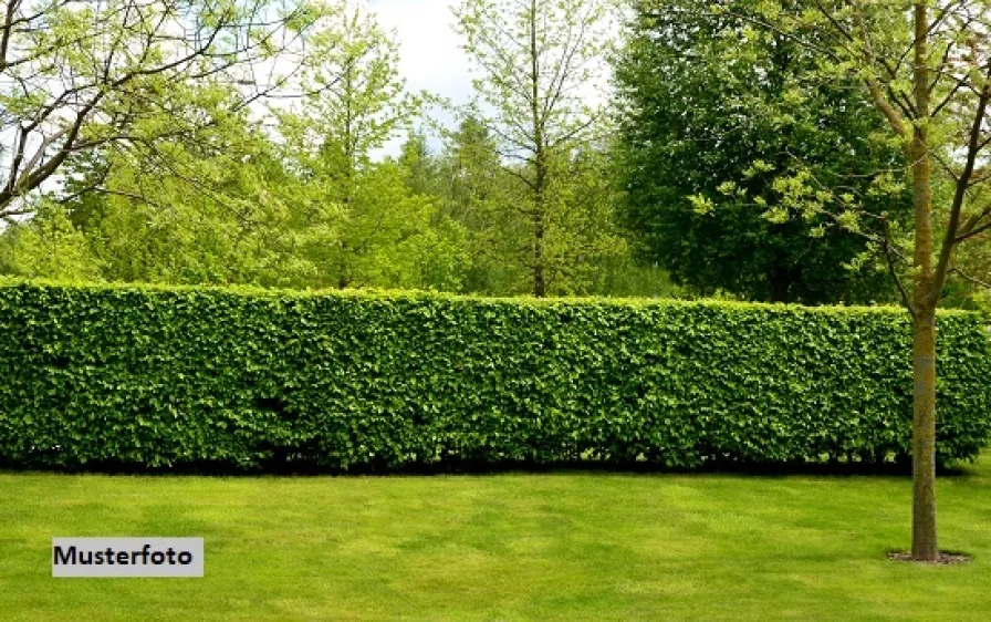 Keine Originalbilder - Grundstück kaufen in Boizenburg - Gartengrundstück mit Laube 