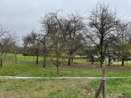 Obstwiese