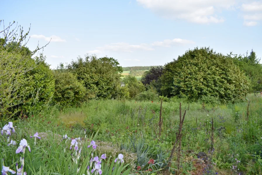 Blick in den Garten