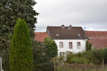 Blick aufs Haus rückseitig - Haus kaufen in Trimport - **Einfamilienhaus mit großem Grundstück und Nebengebäuden zwischen Trier und Bitburg**