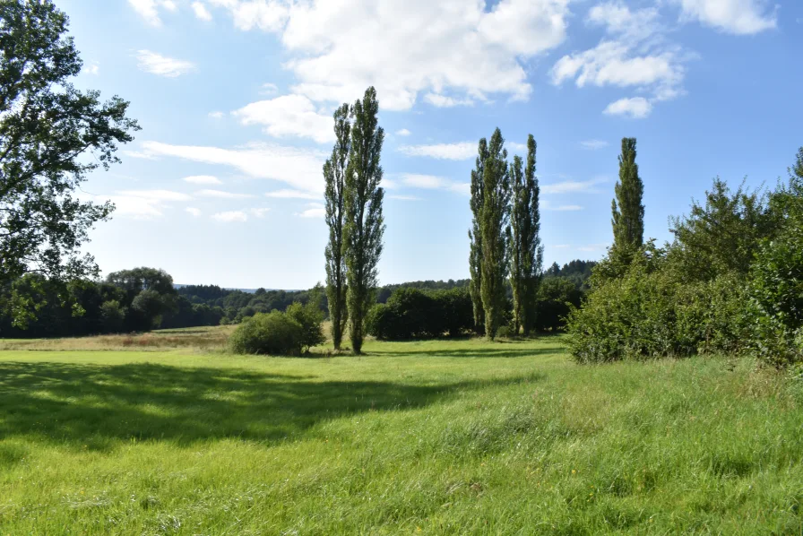 Fernblick in die Natur